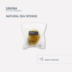 Anyah Natural Sponge - 100Pack