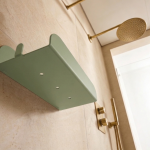 Green shower shelf with rim