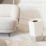 Shield – Cream White