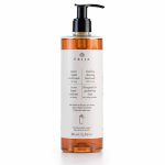 Prija Vitalising Cleansing Hand Wash With Locked Pump VEGANOK Certified (380 ml) - 18Pack