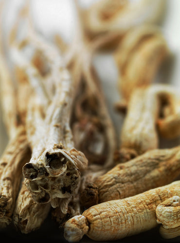 Dried ginseng roots